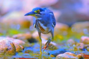 热刺全力冲击前四，砥砺前行争霸不止