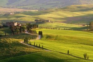 多德雷贝斯球队表现稳健，主场取胜