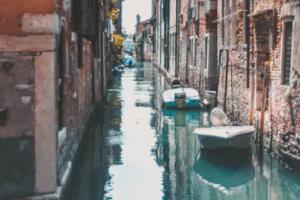 赛场上的明星闪耀，直击对手要害稳操胜券