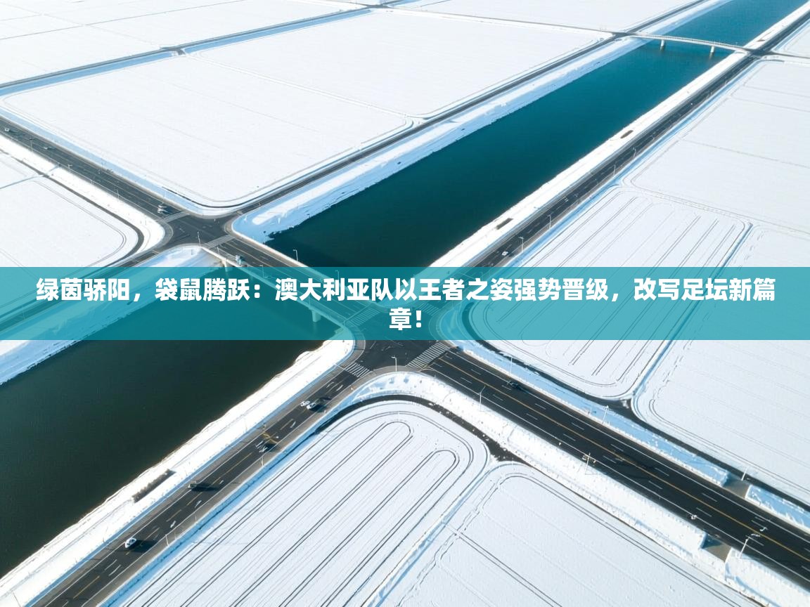 绿茵骄阳,袋鼠腾跃:澳大利亚队以王者之姿强势晋级,改写足坛新篇章! 第1张