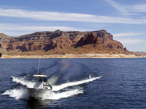 开云体育app在线-游泳项目中埃及选手刷新纪录  第5张